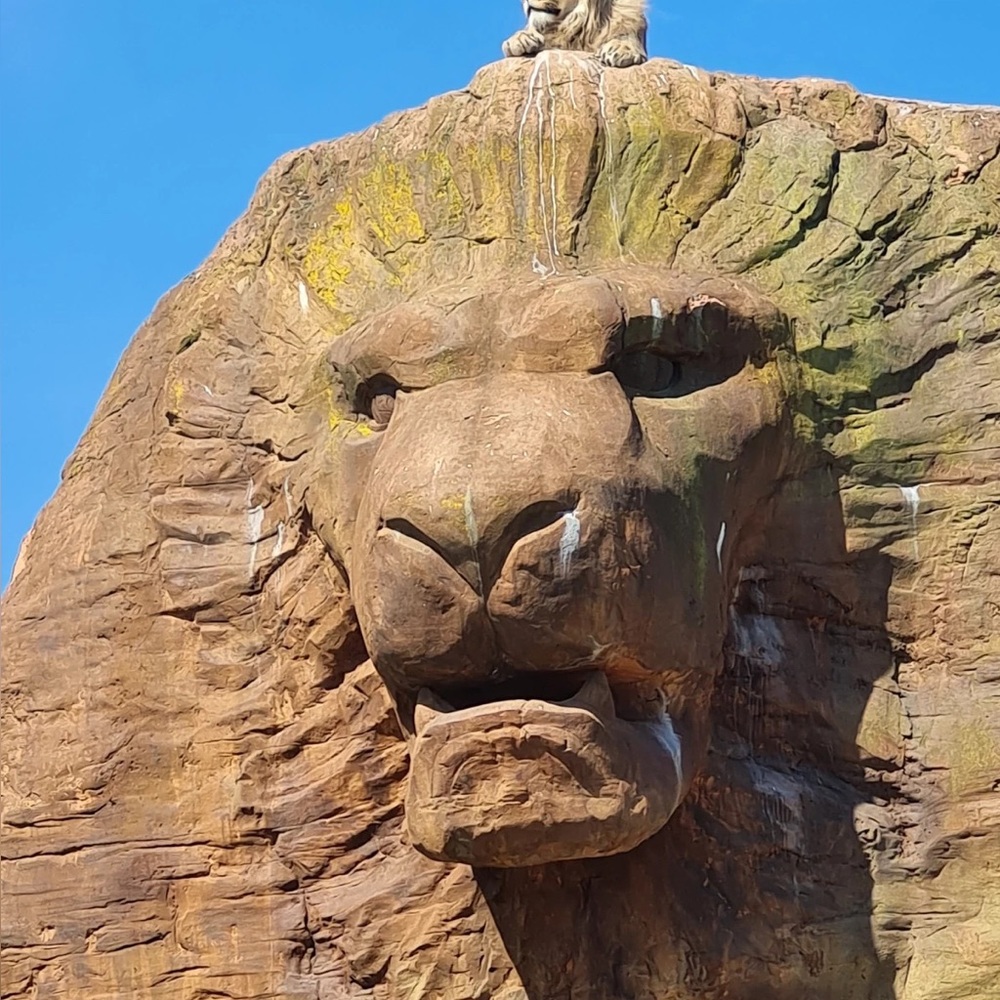 Meet your Posher, Alicia